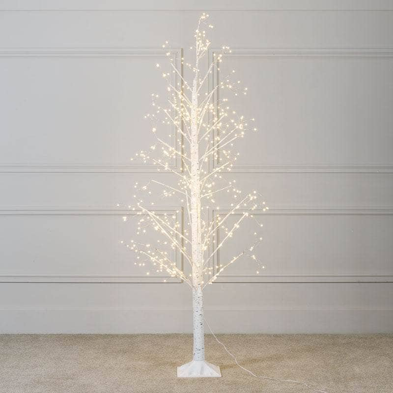 Birch lit store tree