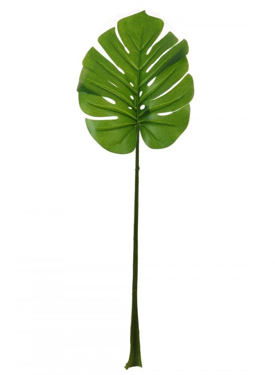 Homeware  -  Large Monstera Stem - Green  -  60005666