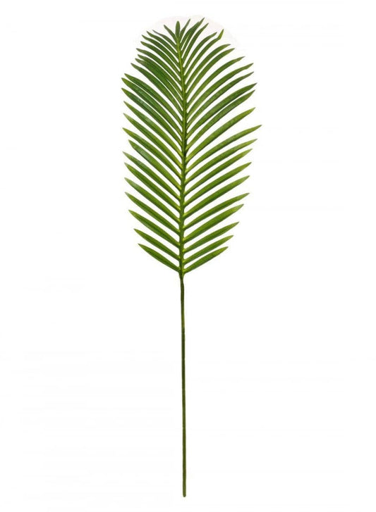 Homeware  -  Tropical Fern Leaf  -  60005667