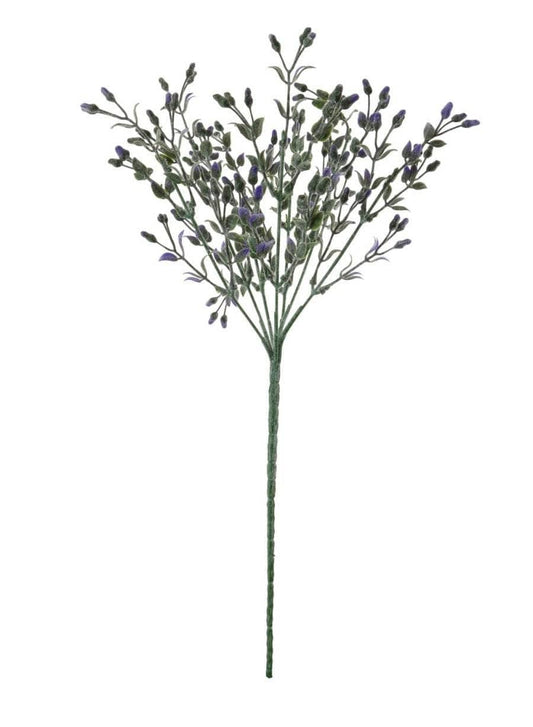 Homeware  -  Long Stem Jasmin Spray - Purple  -  60005671