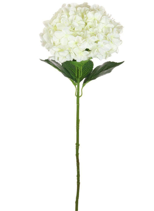 Homeware  -  Silk Giant Hydrangea Stem - Ivory  -  60005687