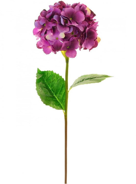 Homeware  -  Silk Mophead Hydrangea - Aubergine  -  60005699