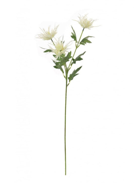 Homeware  -  Silk Spikey Thistle Spray - Cream  -  60005710