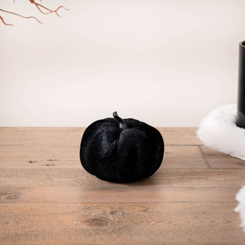 Homeware  -  Black Velvet Pumpkin - 8cm  -  60012196