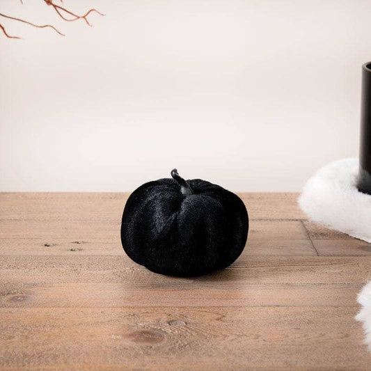 Homeware  -  Black Velvet Pumpkin - 8cm  -  60012196