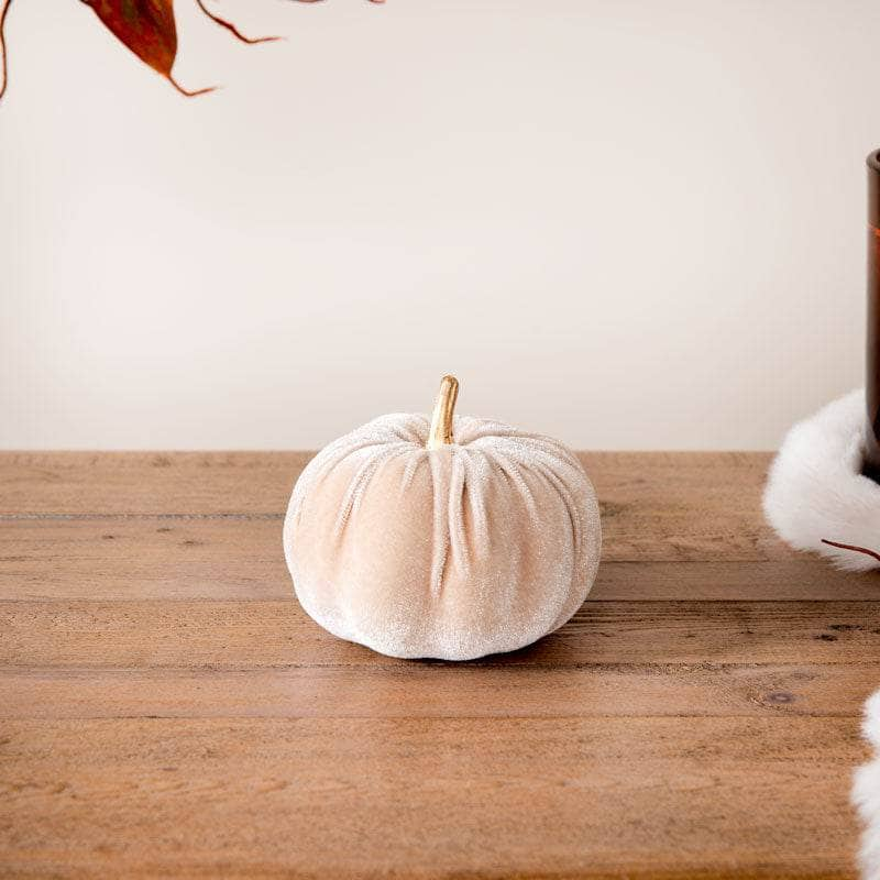 Homeware  -  Cream Velvet Pumpkin - 8cm  -  60012197