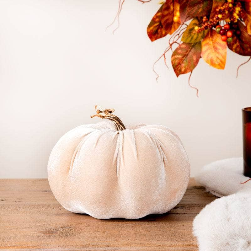 Homeware  -  Cream Velvet Pumpkin - 18cm  -  60012198