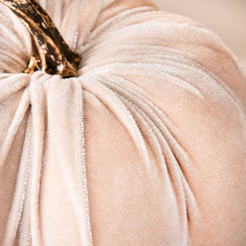 Homeware  -  Cream Velvet Pumpkin - 18cm  -  60012198