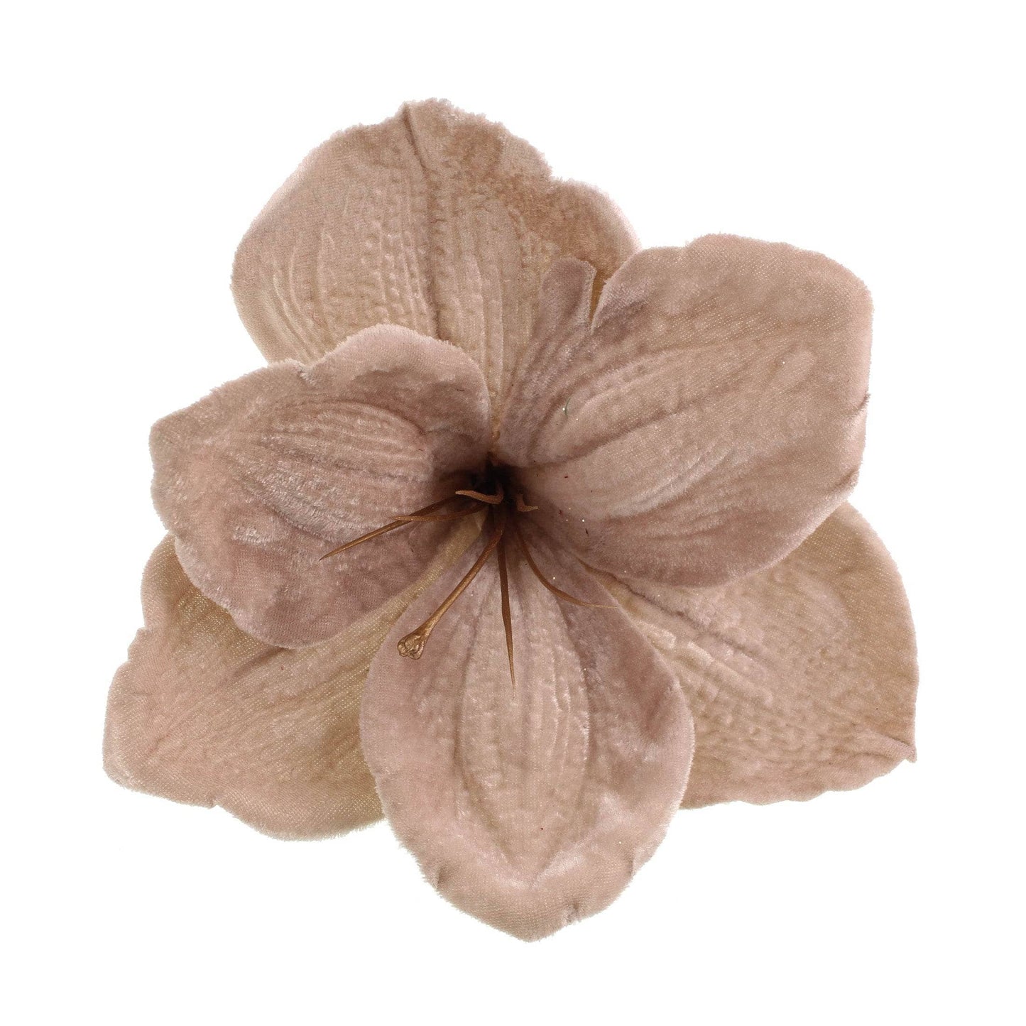 Christmas  -  Beige Velvet Amaryllis Clip Decoration - 14cm  -  60012206