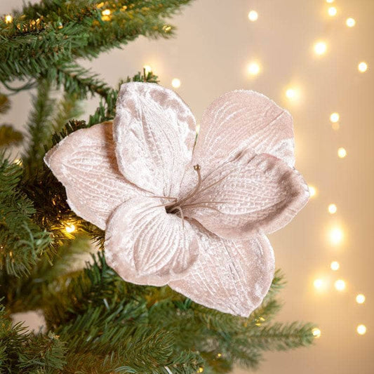 Christmas  -  Beige Velvet Amaryllis Clip Decoration - 14cm  -  60012206