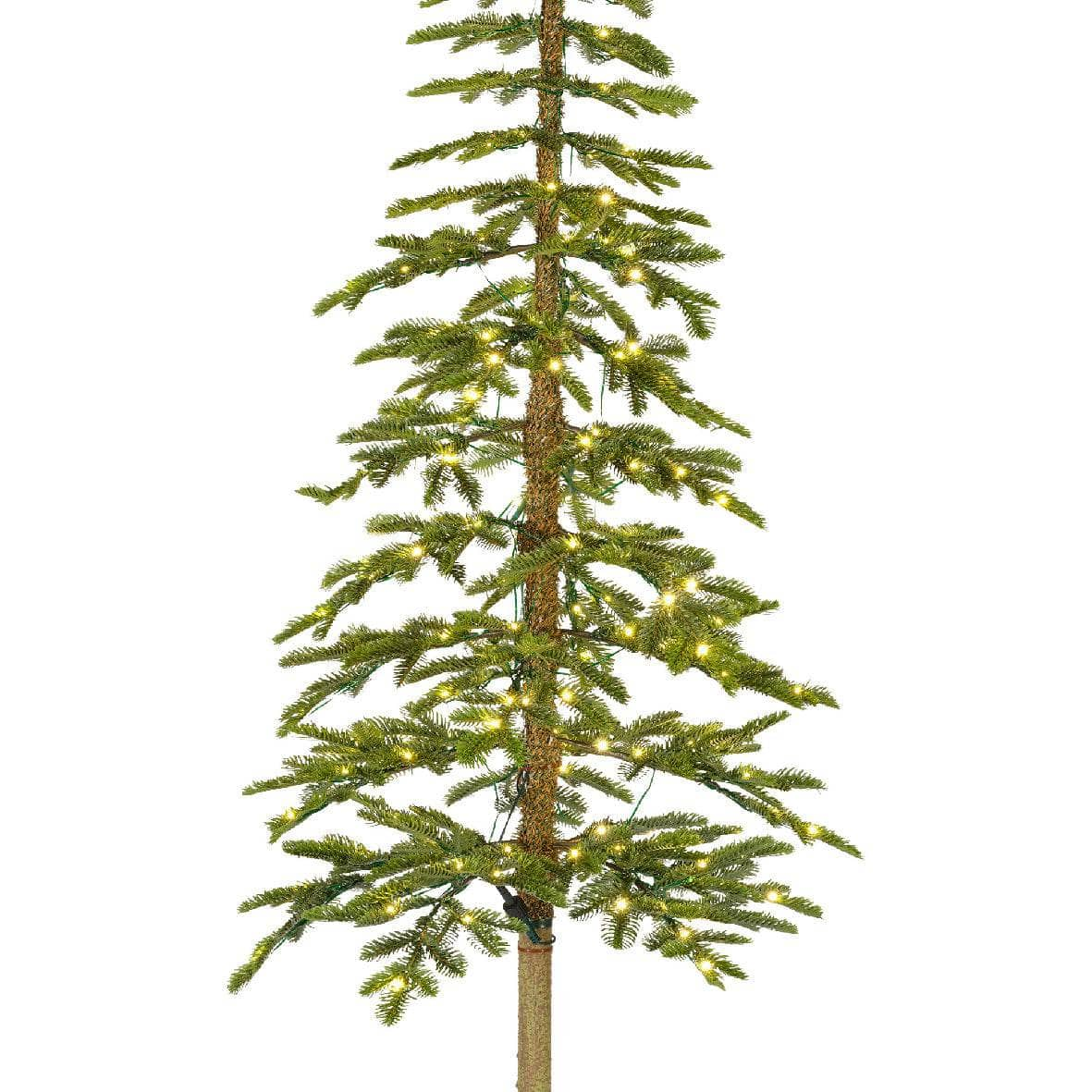 Christmas  -  Alpine Fir Micro LED Tree - 6ft  -  60012258