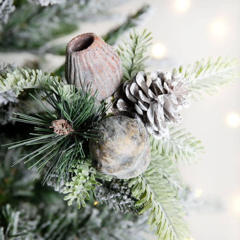 Christmas  -  Walnut Cone Foliage - 20cm  -  60012336