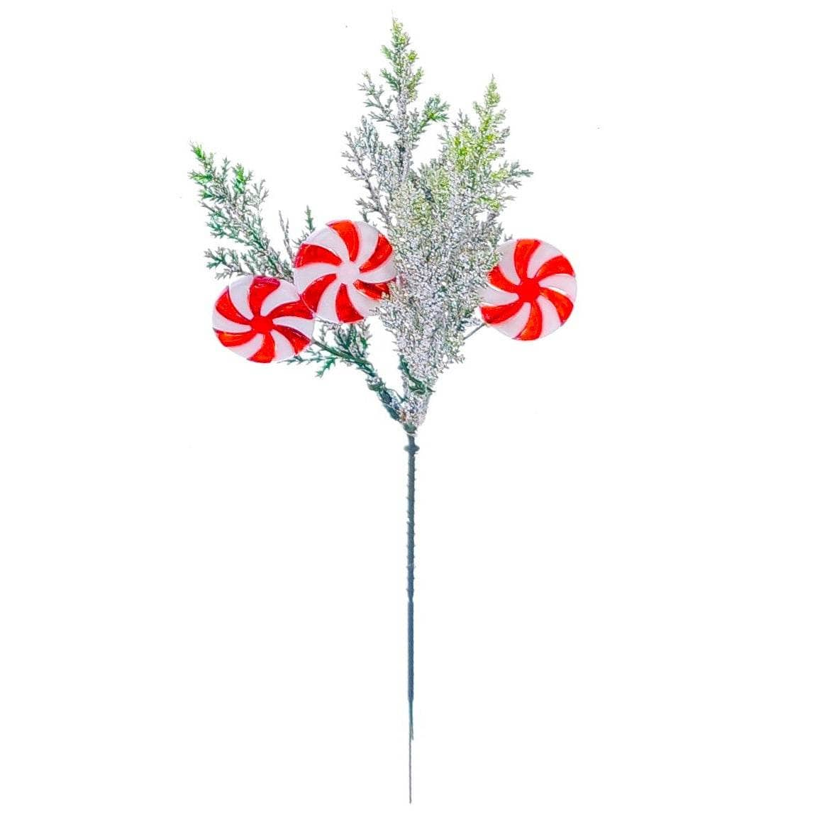 Christmas  -  Frosted Pine & Candy Pick - 26cm  -  60012349