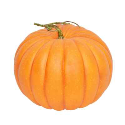 Homeware  -  Orange Pumpkin - 23cm  -  60012344