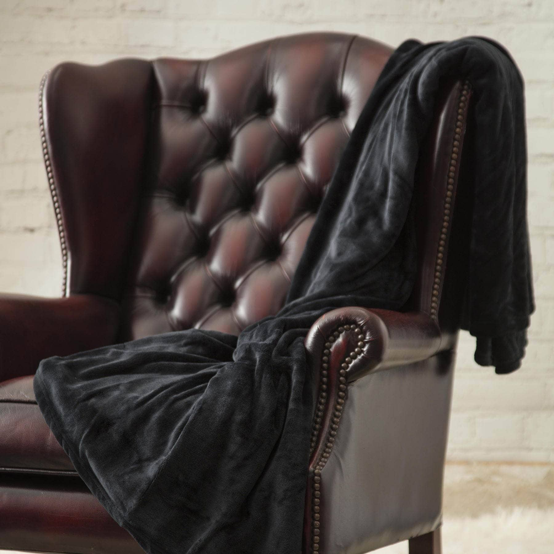 Homeware  -  Heat Holder Blanket - Black  -  60009949