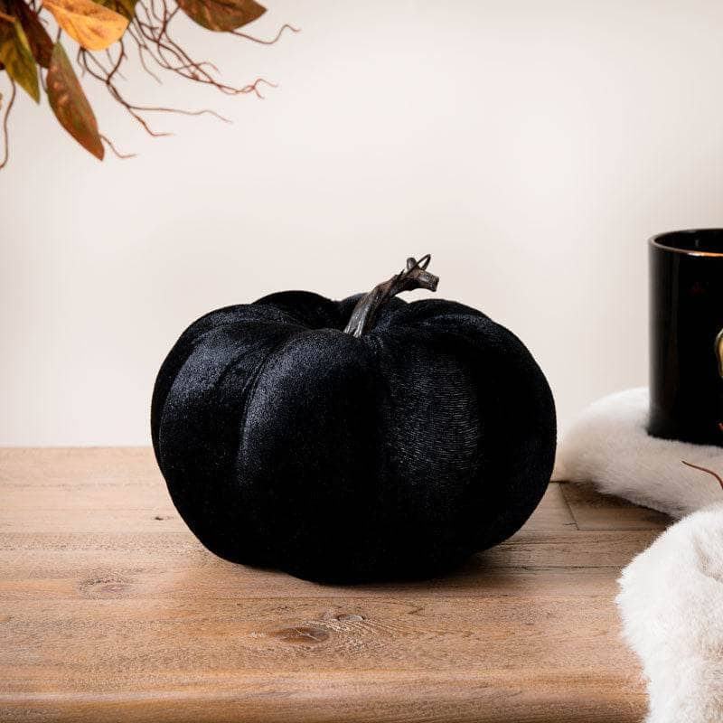 Homeware  -  Black Velvet Pumpkin - 18cm  -  60012195