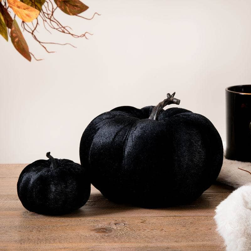 Homeware  -  Black Velvet Pumpkin - 8cm  -  60012196