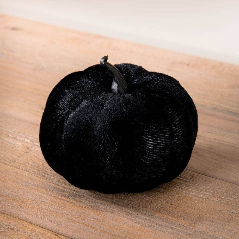 Homeware  -  Black Velvet Pumpkin - 8cm  -  60012196