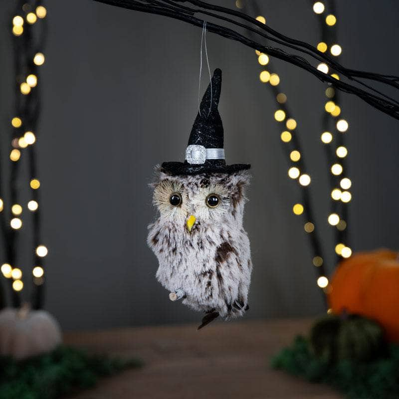 Homeware  -  Owl in Witches Hat Hanger  -  60012192