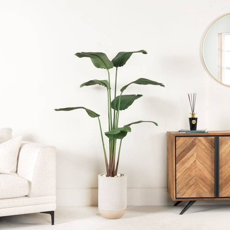 Gardening  -  Artificial Travel Banana Tree - 160cm  -  60010226