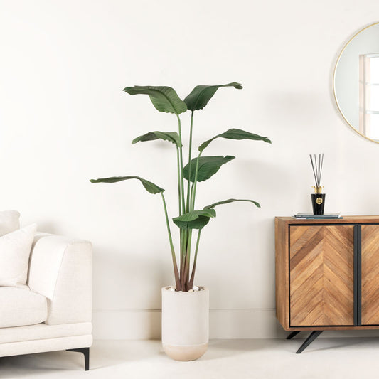 Artificial Travel Banana Tree - 160cm