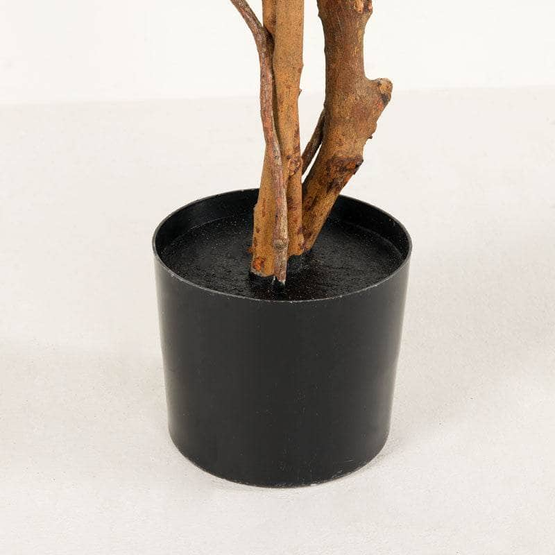 Homeware  -  Artificial Ficus Tree  - 210cm  -  60010229