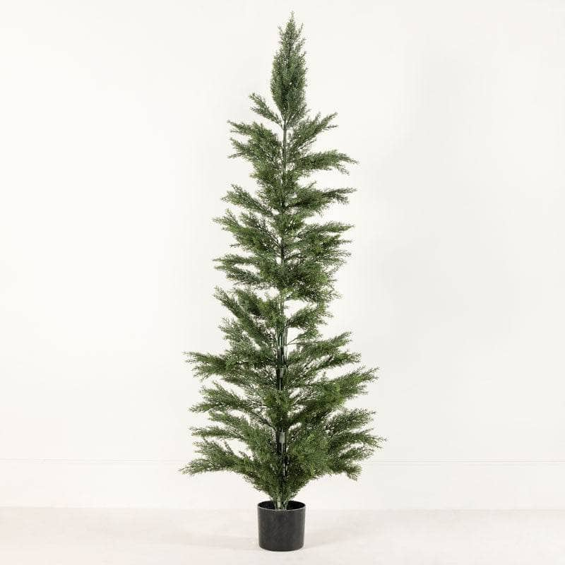 Gardening  -  Artificial  Pine Tree 180cm  -  60010228