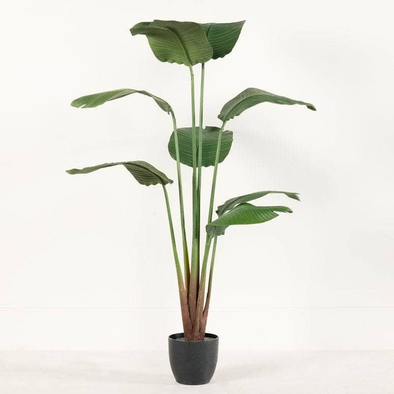 Gardening  -  Artificial Travel Banana Tree - 160cm  -  60010226