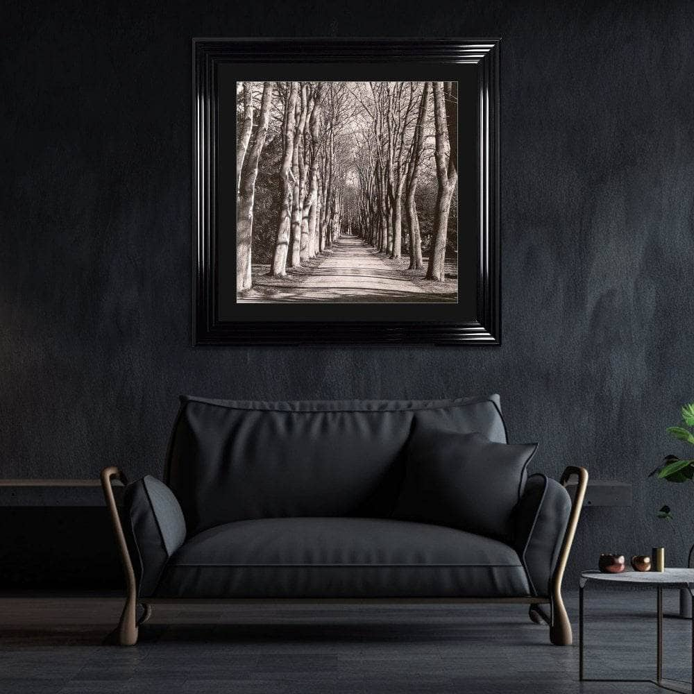 Pictures  -  Mono Path Framed Picture  -  60010934