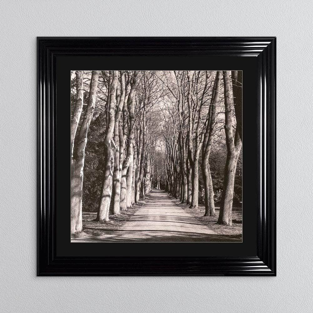 Pictures  -  Mono Path Framed Picture  -  60010934