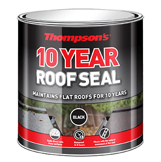 Paint  -  Rnseal Thmpsn Roofseal Black 2.5L  -  00485937