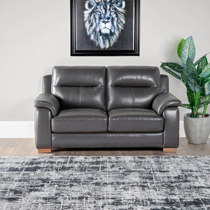 Furniture  -  Comfort King Detroit 2 Seater Sofa  -  50153208