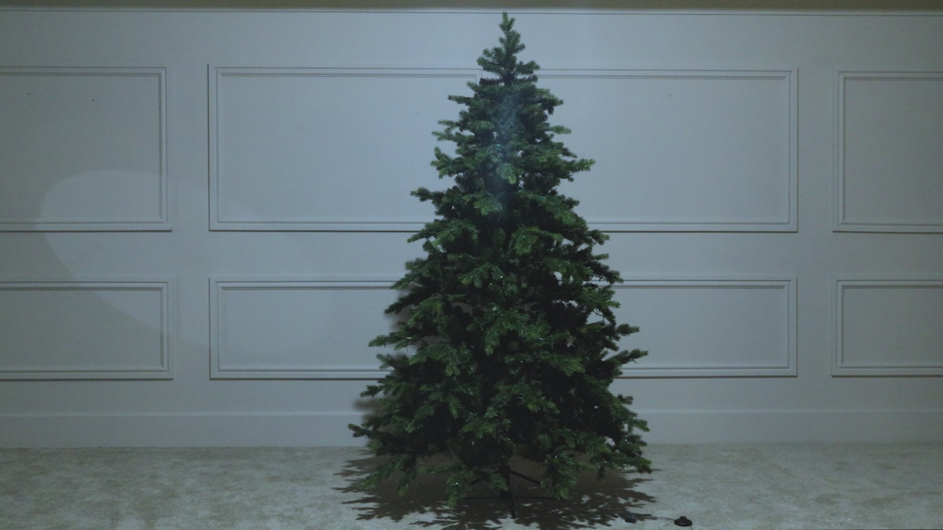 Christmas Tree Video